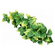 Exo Terra Jungle Plant Amapallo - Medium