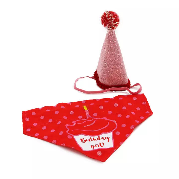 Ancol It's Pawty Time Birthday Hat and Bandana set for pets