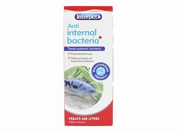Interpet Anti Internal Bacteria 100ml